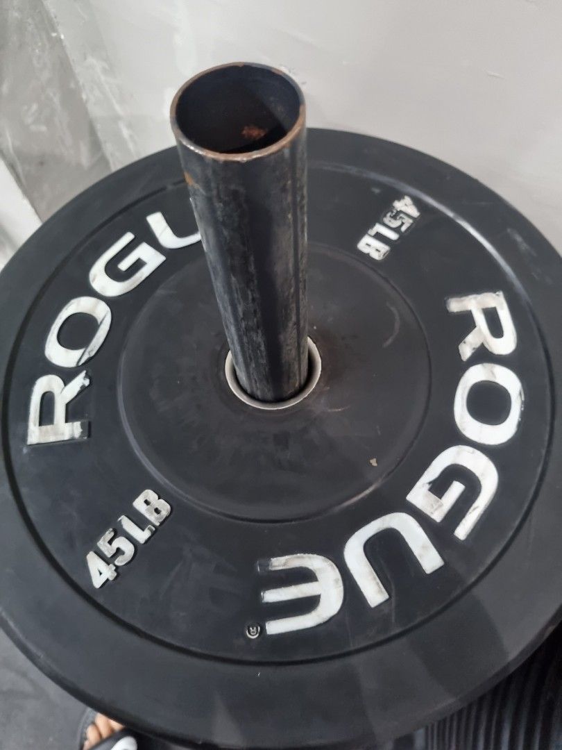 Rogue bumper store plates for sale