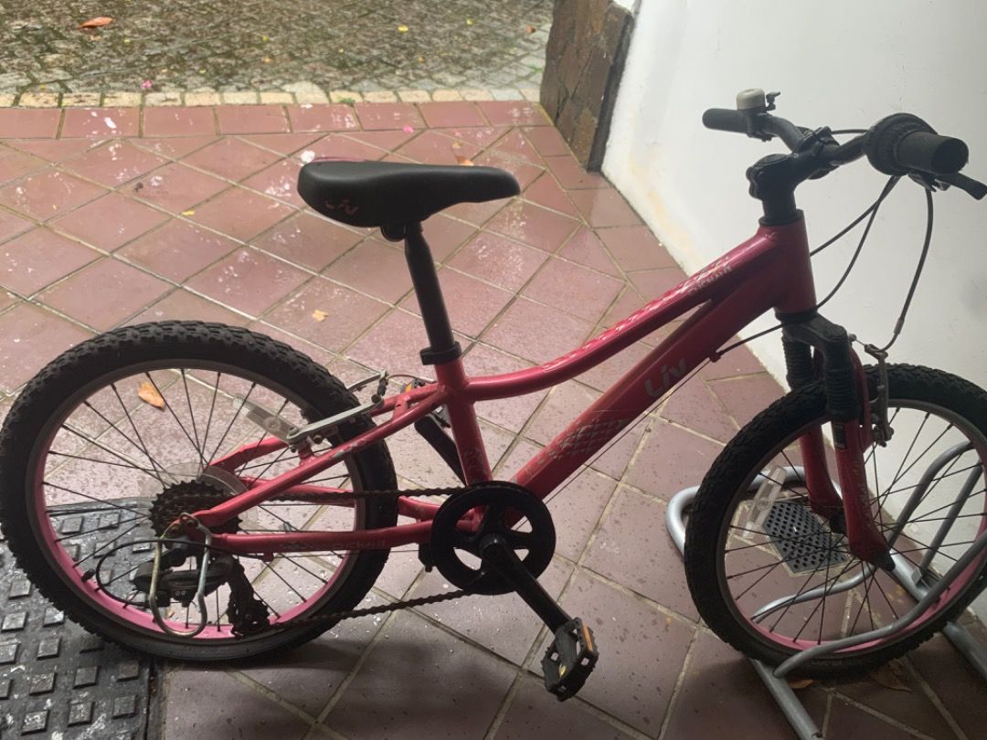 Girl bike top 20 inch sale