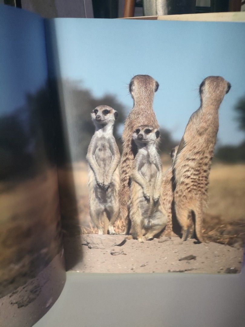 Photography/ coffee table book/ Africa by Michael Poliza, Hobbies & Toys, Stationery & Craft