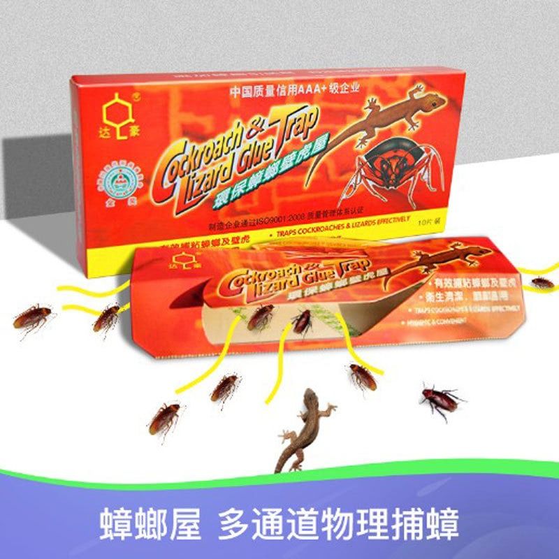 Cockroach and Lizard Glue Trap (10pcs/box), Furniture & Home