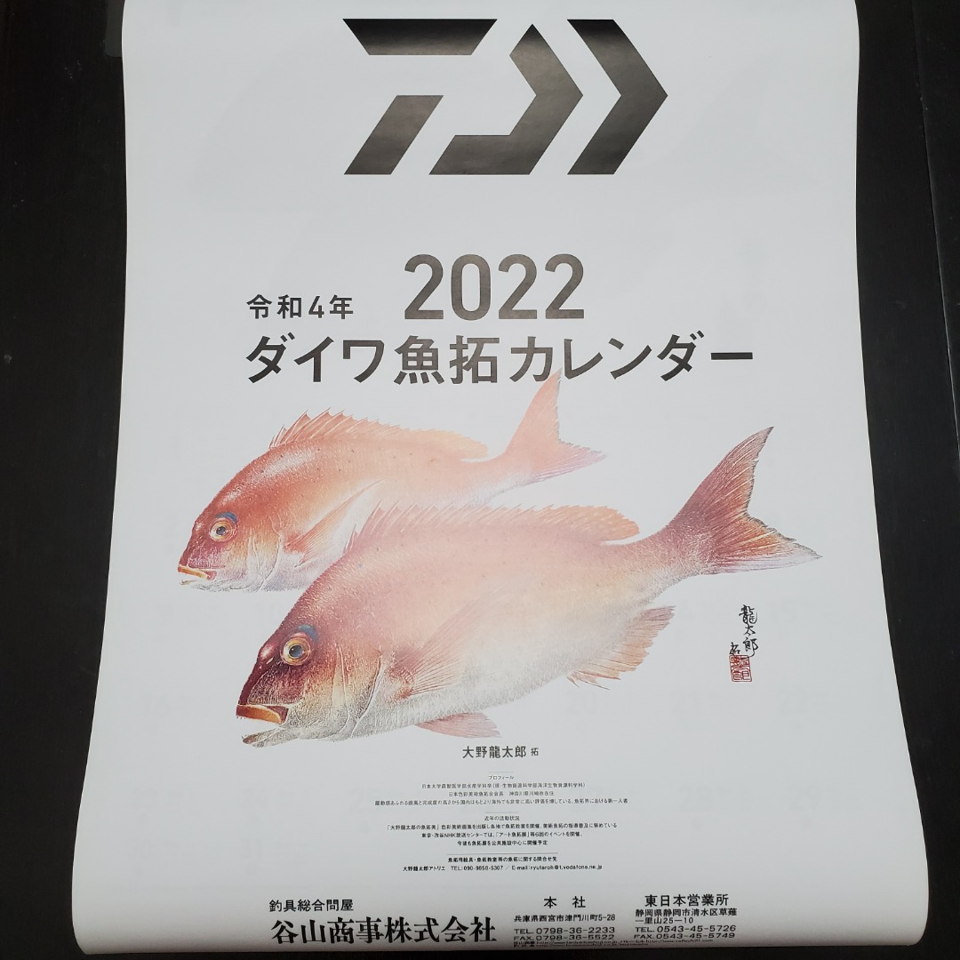 DAIWA＊2024年＊魚拓カレンダー - 釣り仕掛け・仕掛け用品