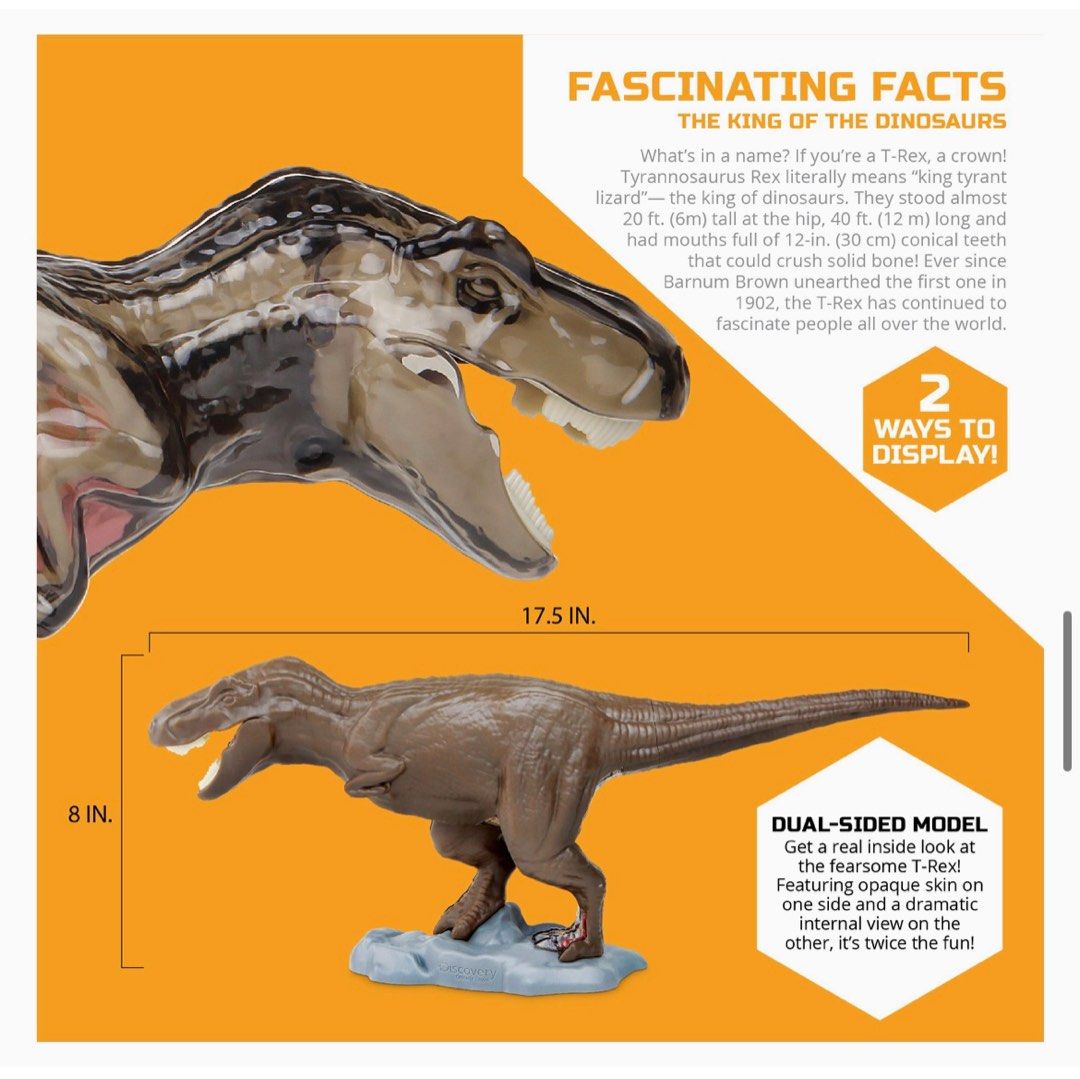 Stem Discovery 4D T-Rex Anatomy Interactive 28 Piece Dinosaur Model Kit-713476