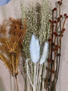 Dried flowers bundle