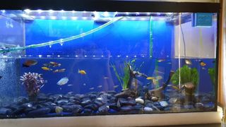 (Category: ) located in . Submitted by delynn_lyd (Listing ID 1202934762, Image 1). Description: .