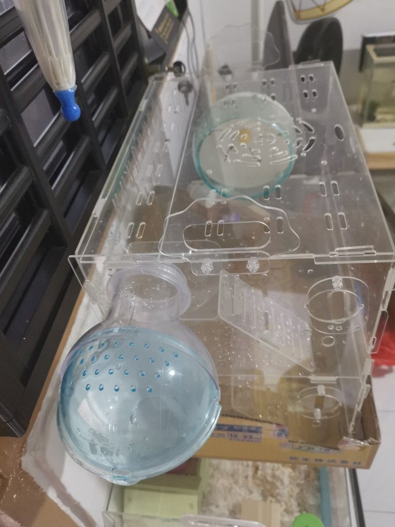 Glass deals hamster condo