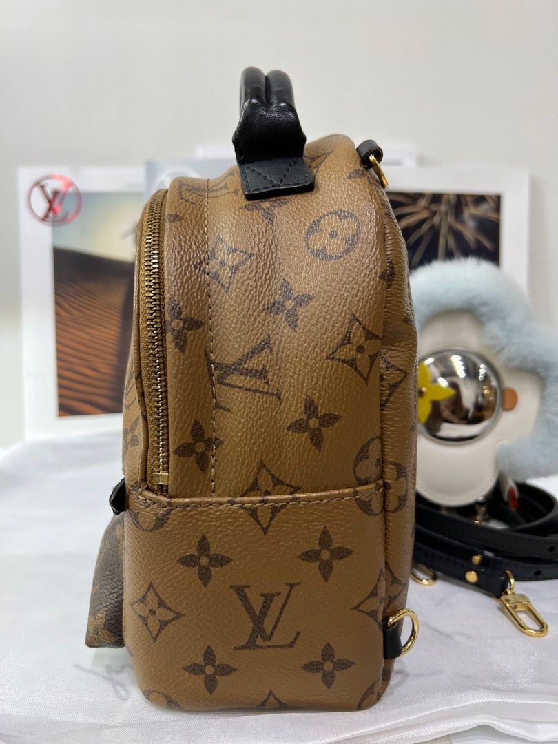 Louis Vuitton Palm Springs Mini Backpack Brown Monogram Canvas M44873