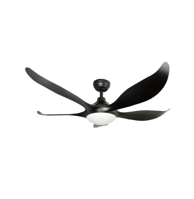 Mistral Typhoon52BK 52 Inch Dfan Typhoon 52 Ceiling Fan (Black) WITH 1