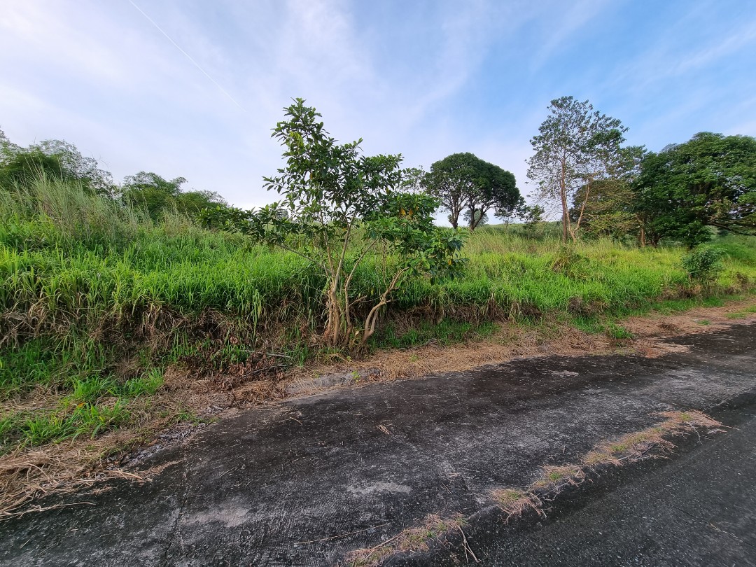 Park Ridge Estates Valley Golf Antipolo, Property, For Sale, Lot on