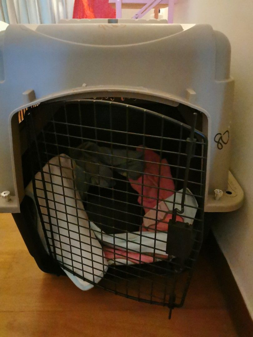 Preloved hotsell dog crate