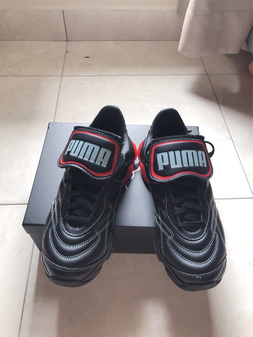 New puma clearance cell