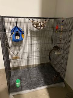 Sugar glider couple and cage set