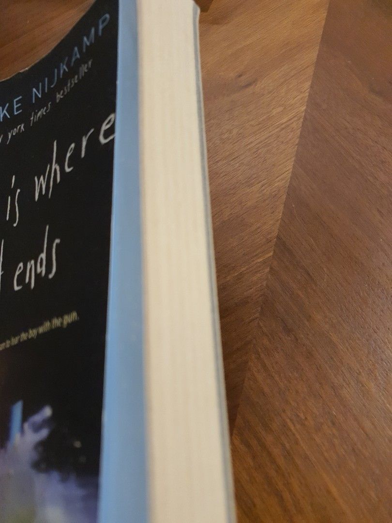 This is where it ends book, Hobbies & Toys, Books