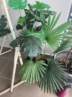 (Category: ) located in . Submitted by KG815 (Listing ID 1203165033, Image 1). Description: .