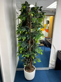 （分類：）位於 。 由 warmmountain.7f9a5a_rabbit 提交（商品編號 1203186319，圖片 1）。簡介： 。