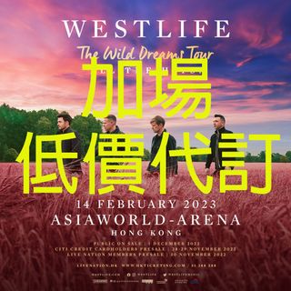 （分類：）位於 。 由 Ticket-go 提交（商品編號 1203288553，圖片 1）。簡介： 。