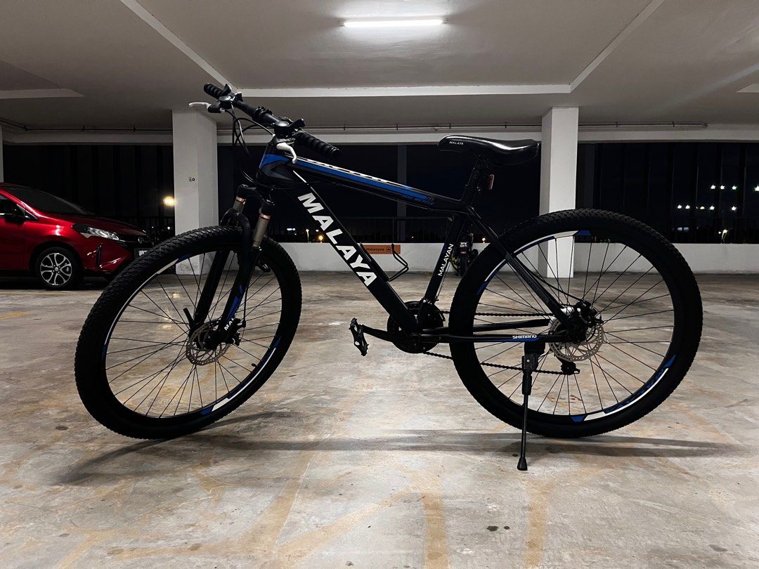 Basikal 2025 29 inch