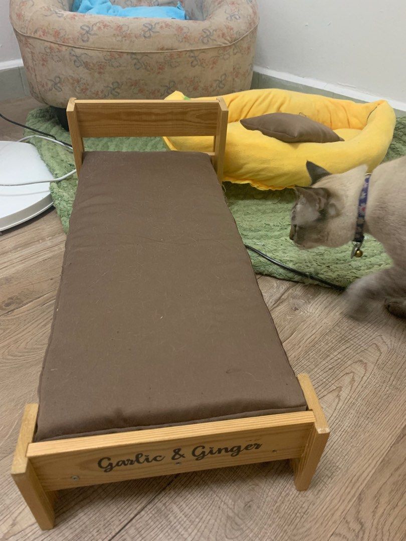 Cat mattress hotsell