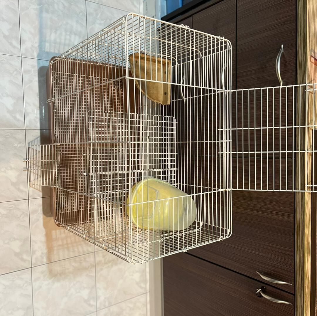 Chinchilla store cage supplies
