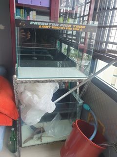 (Category: ) located in . Submitted by sms_13sg (Listing ID 1203158761, Image 1). Description: .