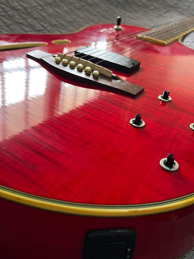 Ibanez Convertible Electric/Acoustic Guitar, Hobbies & Toys, Music