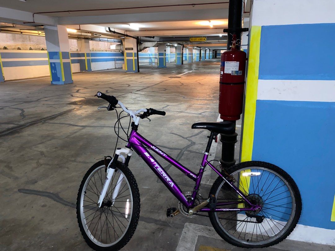 Kent store terra bicycle