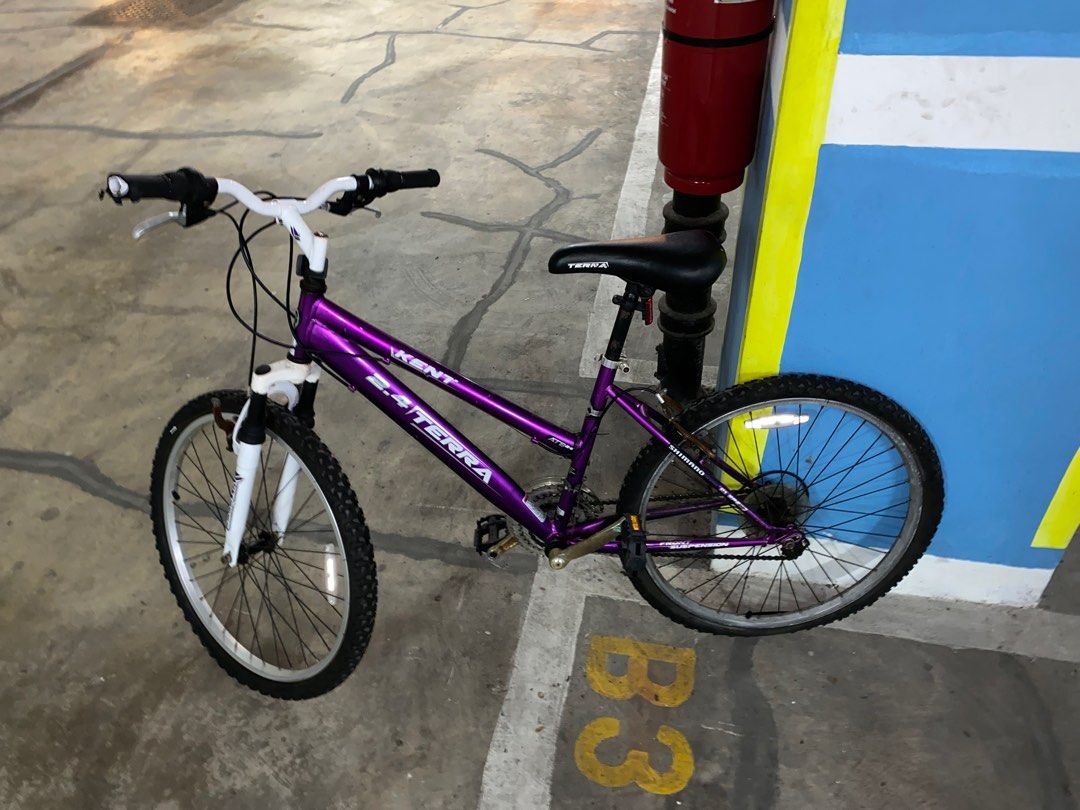 Kent 2.4 shop terra bike