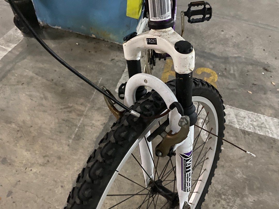 Kent 2.4 terra bike 2025