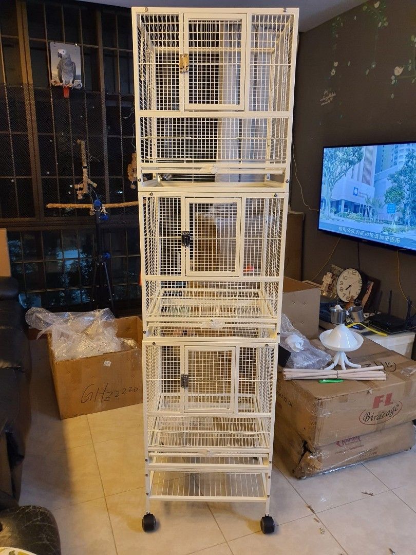 Curated visual reference: Picture Idea: Parrot Bird Cage Pet Supplies Homes Other Pet Accessories On