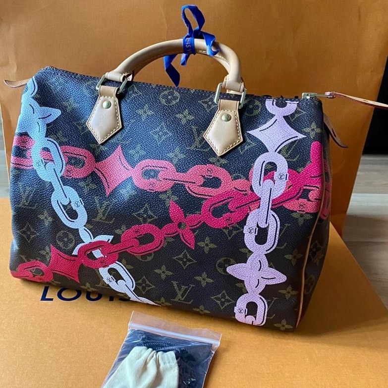 Louis Vuitton speedy 22, Luxury, Bags & Wallets on Carousell
