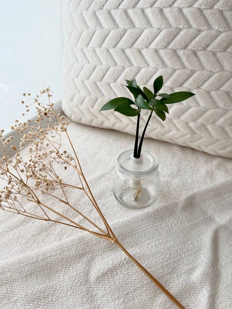 Trees of Tranquility 18 / Nageia Nagi / Table Top Trees, Furniture