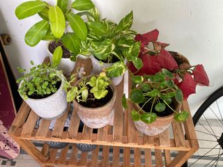 (Category: ) located in . Submitted by wanying_____ (Listing ID 1203380433, Image 1). Description: .