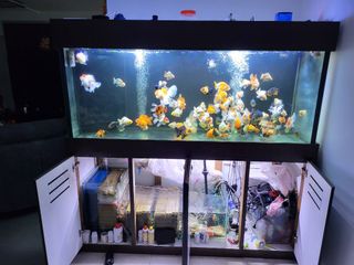 (Category: ) located in . Submitted by yin19 (Listing ID 1203427457, Image 1). Description: .