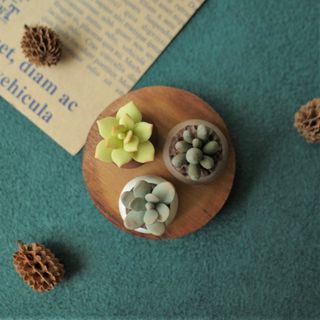 【當我們擠在一起－A款】迷你黏土多肉擺飾 手作黏土 樹脂黏土 療癒系擺飾 可愛小廢物