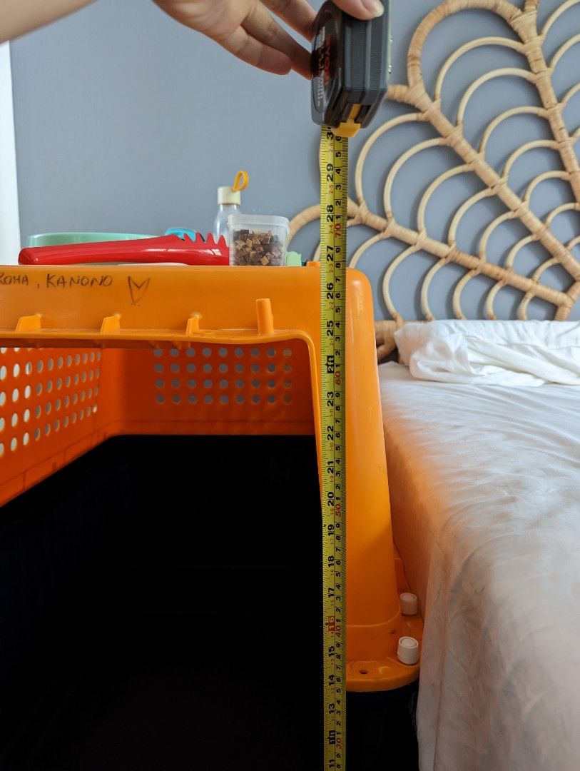 airline-approved-dog-crate-extra-large-pet-supplies-homes-other