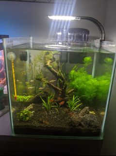 (Category: ) located in . Submitted by afahmi71 (Listing ID 1200938138, Image 1). Description: .