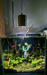 (Category: ) located in . Submitted by russellue (Listing ID 1203426629, Image 1). Description: .