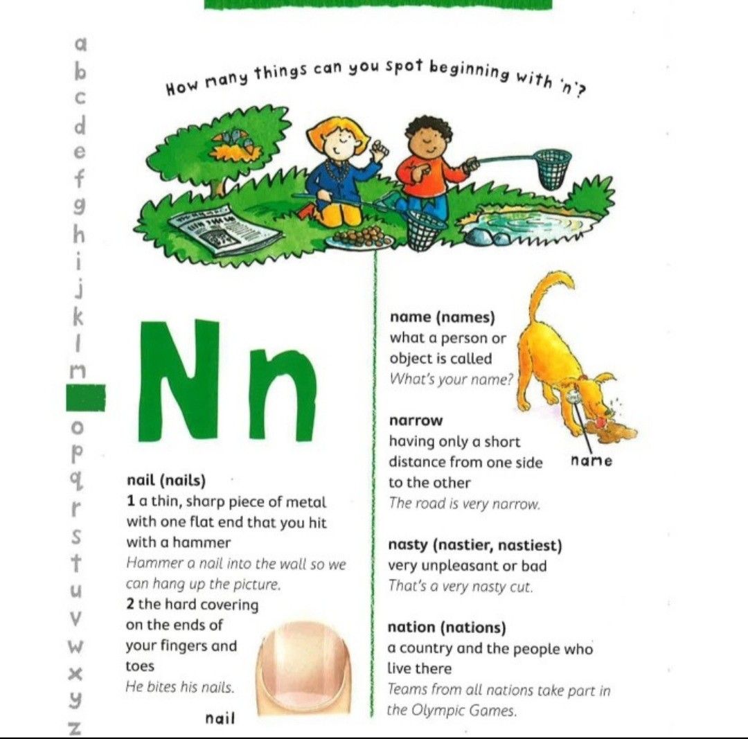 BUKU BBW (BIG BAD WOLF) JUNIOR DICTIONARY & THESAURUS, Buku & Alat