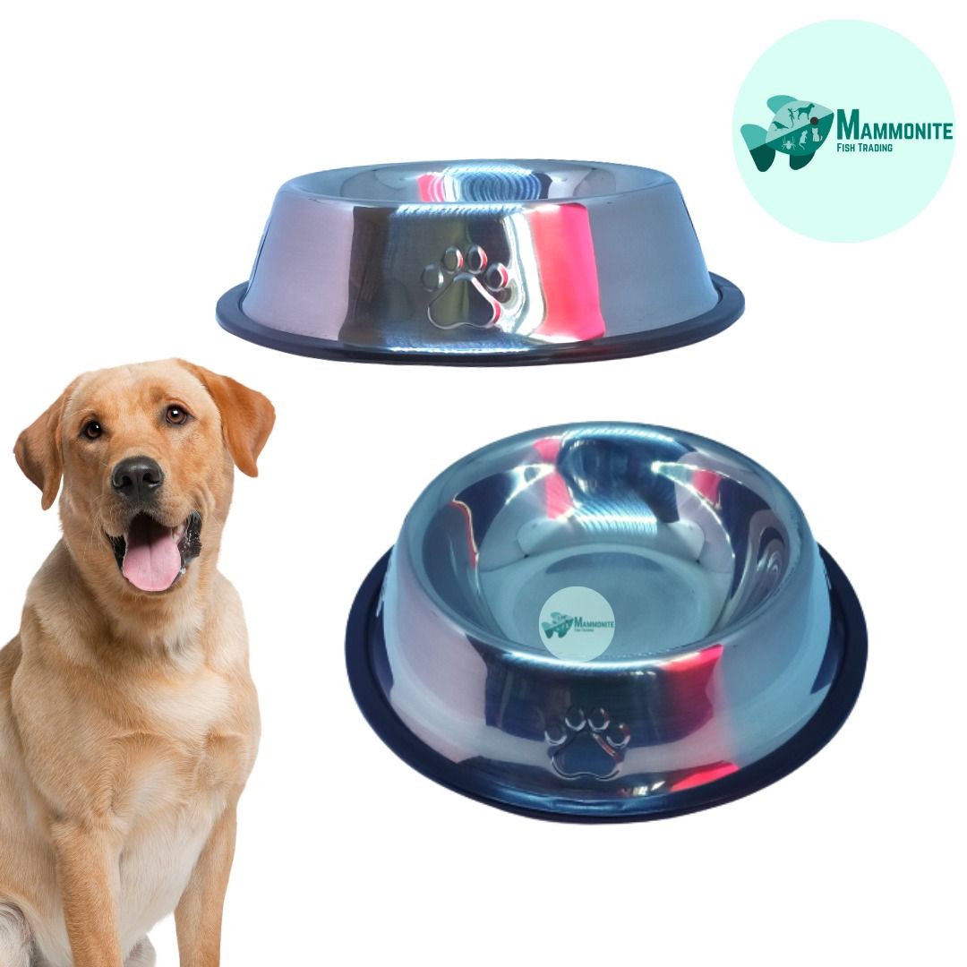 Cat Dog Stainless Bowl Paw Design 10cm Food Container Feeder For Pets