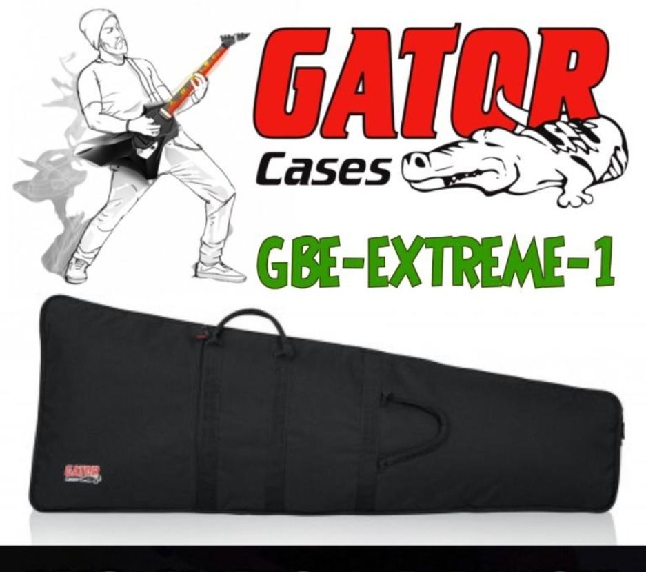 Gig bag for leads online
