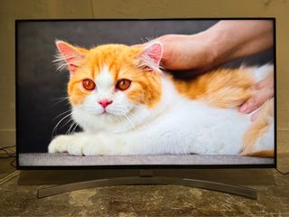 （分類：）位於 。 由 h6a2y1 提交（商品編號 1159370158，圖片 1）。簡介： 。