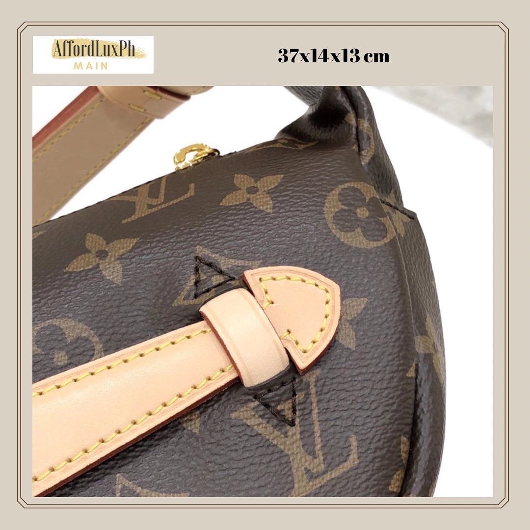 Louis Vuitton Bumbag Monogram Teddy Fleece Crossbody/Shoulder Bag, Women's  Fashion, Bags & Wallets, Cross-body Bags on Carousell