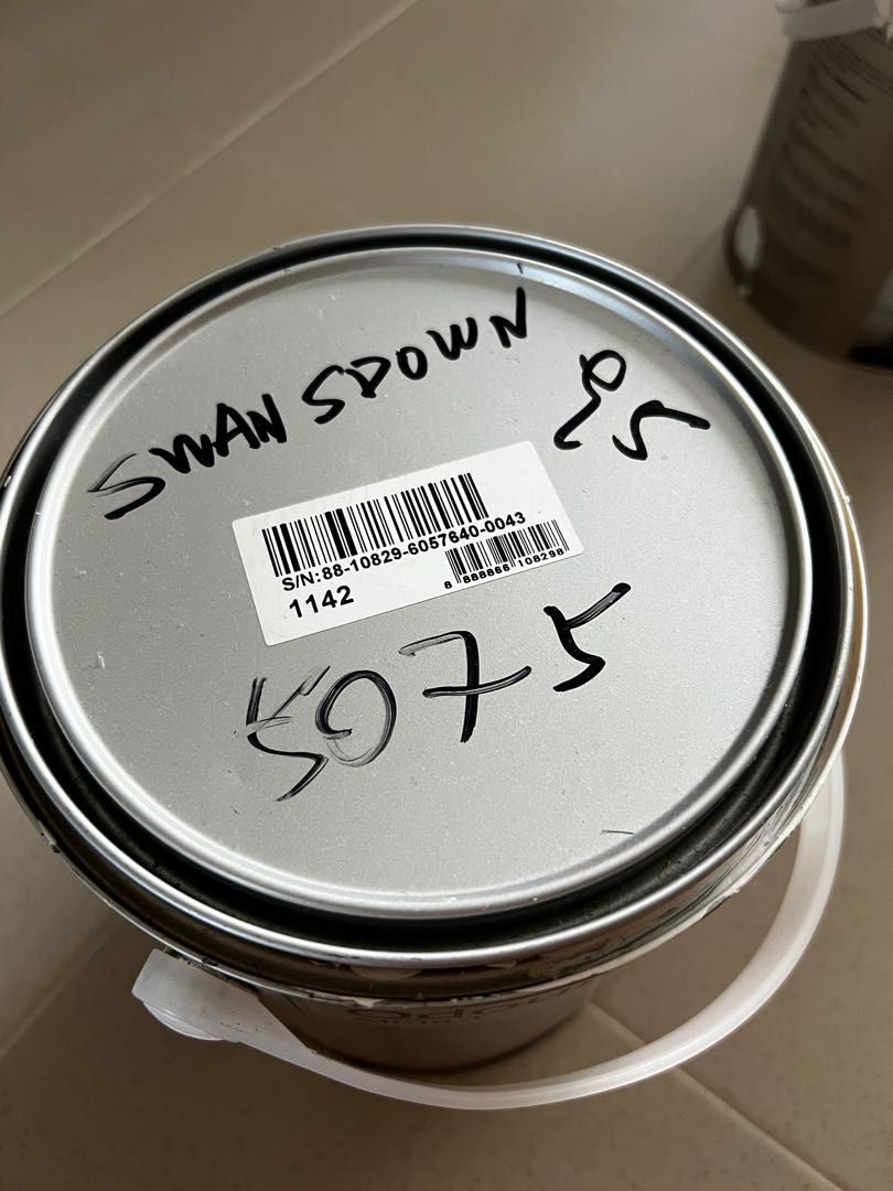 Nippon Paint Odourless Swansdown, Home Services, Renovations