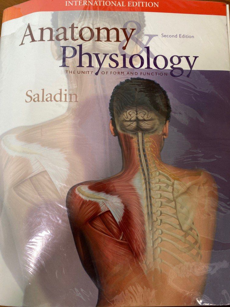 Saladin Anatomy & Physiology Textbook, Hobbies & Toys, Books