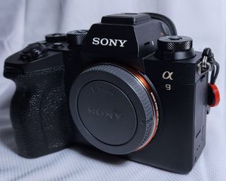 (Category: ) located in . Submitted by PhotogWild (Listing ID 1203451879, Image 1). Description: .