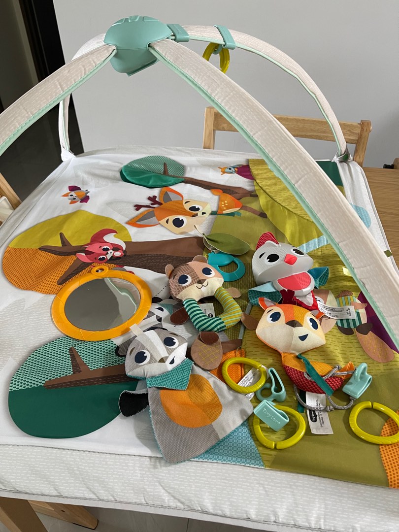 Tiny love babygym into best sale the forest