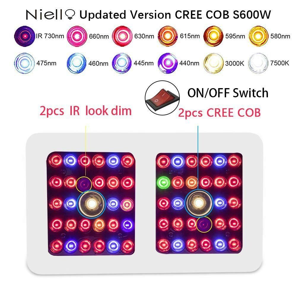 Niello 600w cree clearance cob led test