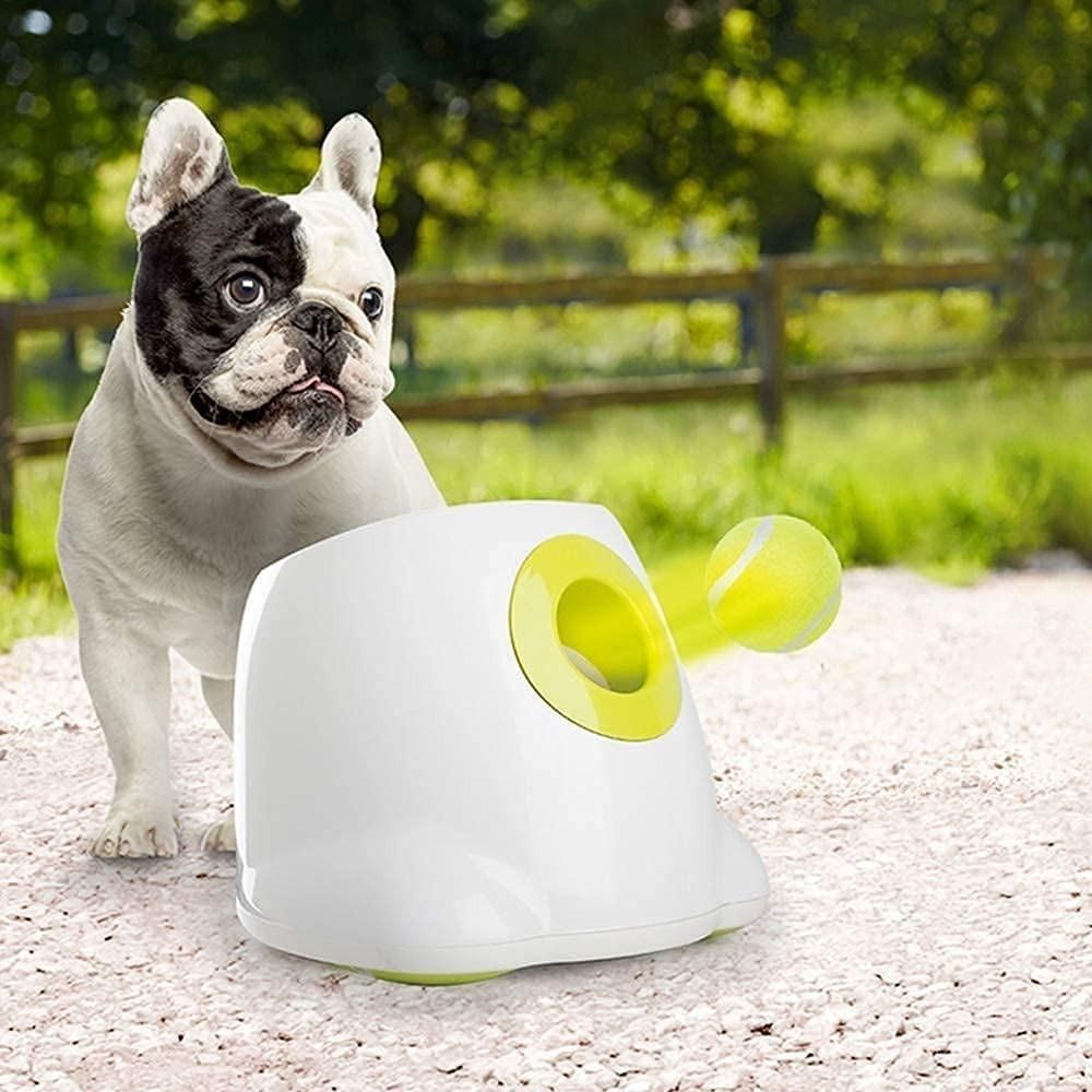 Indoor ball thrower for dogs sales