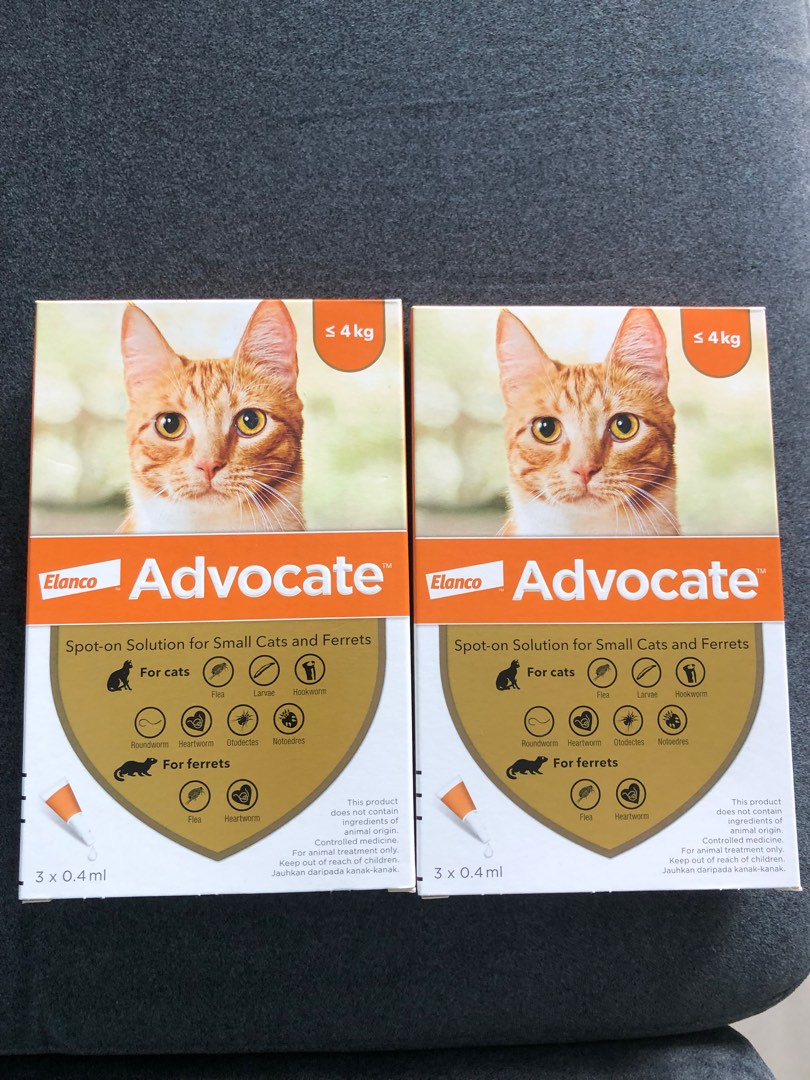 Cat deworm deflea medicine, Pet Supplies, Pet Food on Carousell
