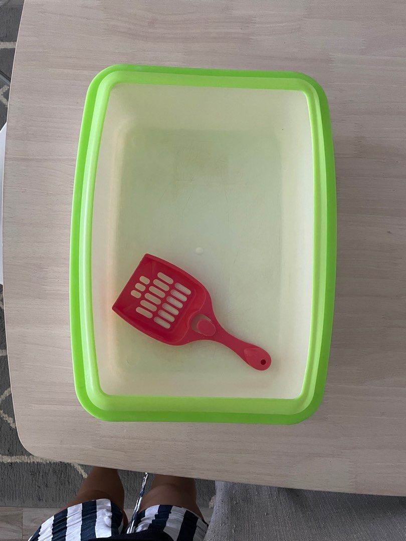 Cat litter box, Pet Supplies, Homes & Other Pet Accessories on Carousell