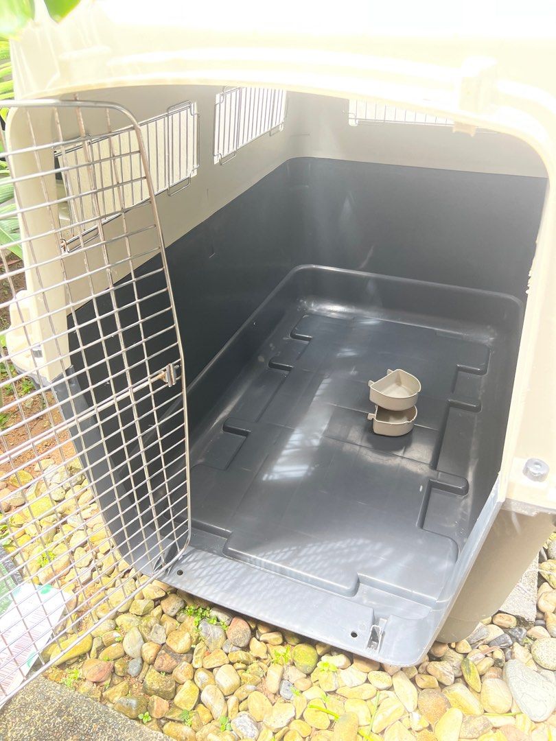 Dog Crate IATA approved, Pet Supplies, Homes & Other Pet Accessories on